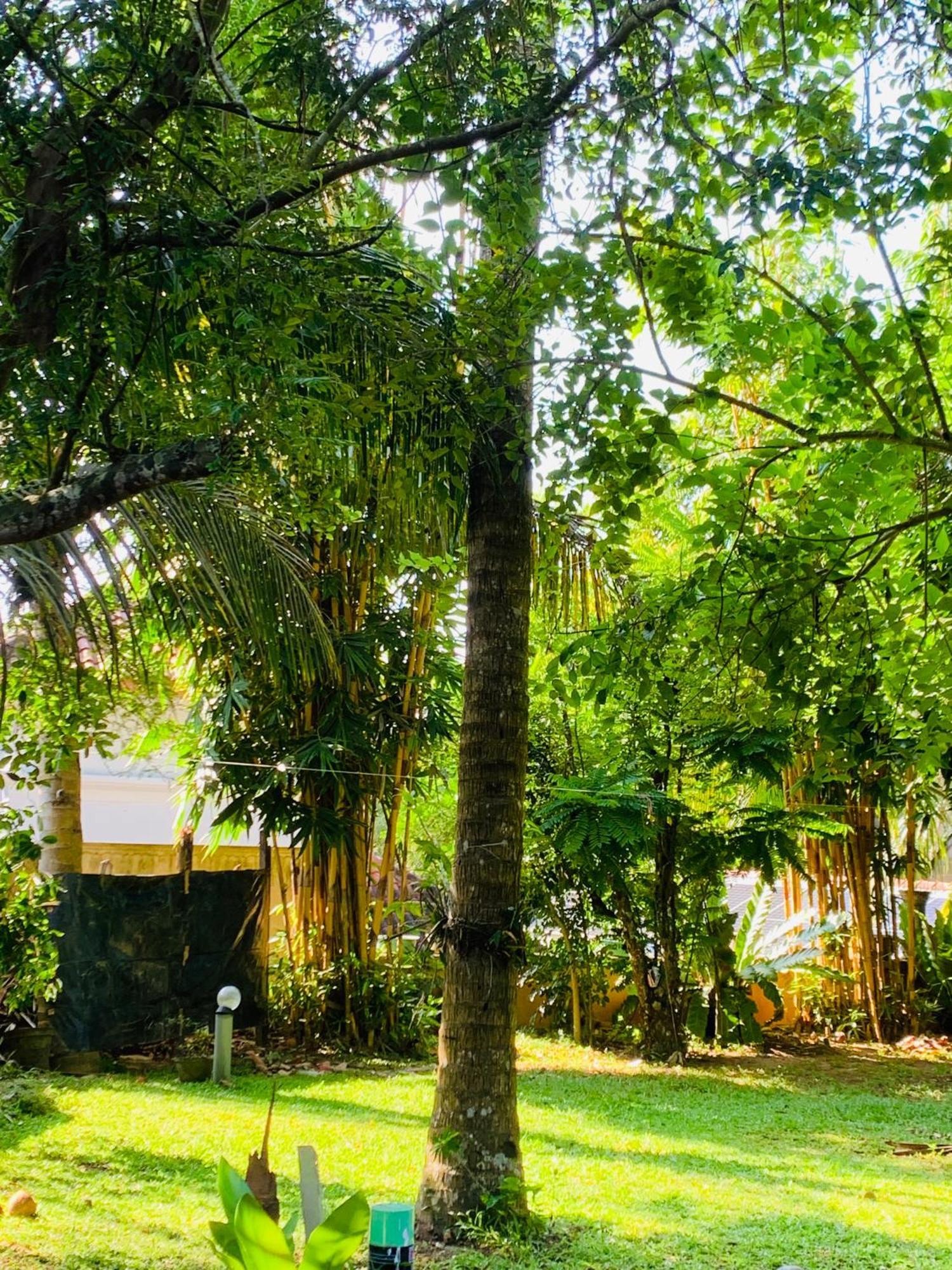 Cinnamon House Hiriketiya Dikwella Exterior foto